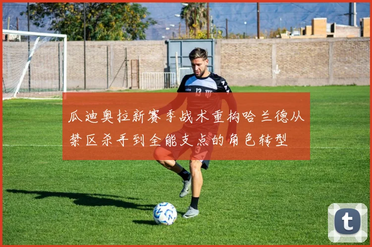 瓜迪奥拉新赛季战术重构哈兰德从禁区杀手到全能支点的角色转型